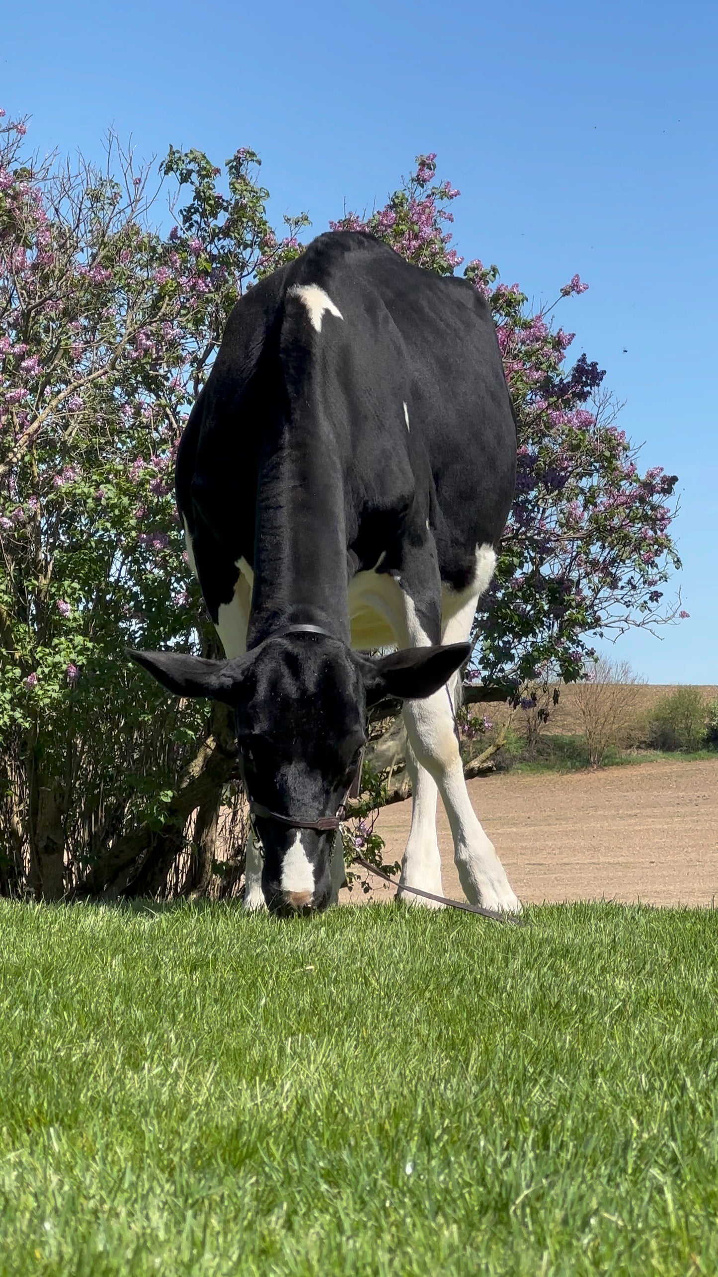 OCEAN-VIEW ALL EYES ON ME