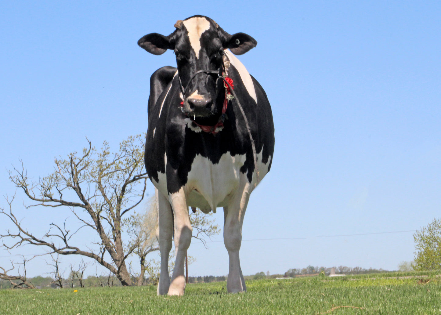 OCEAN-VIEW SHES SO SASSY