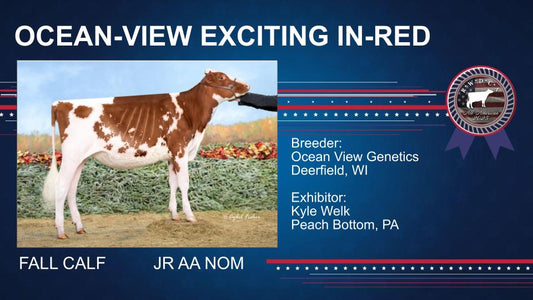 The Breeding Shows
