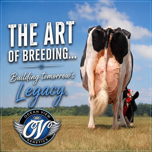When the Cow Family Knows More Than the Index