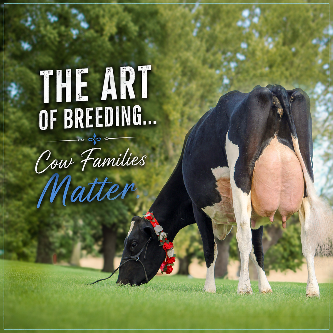Why Maternal Families Matter