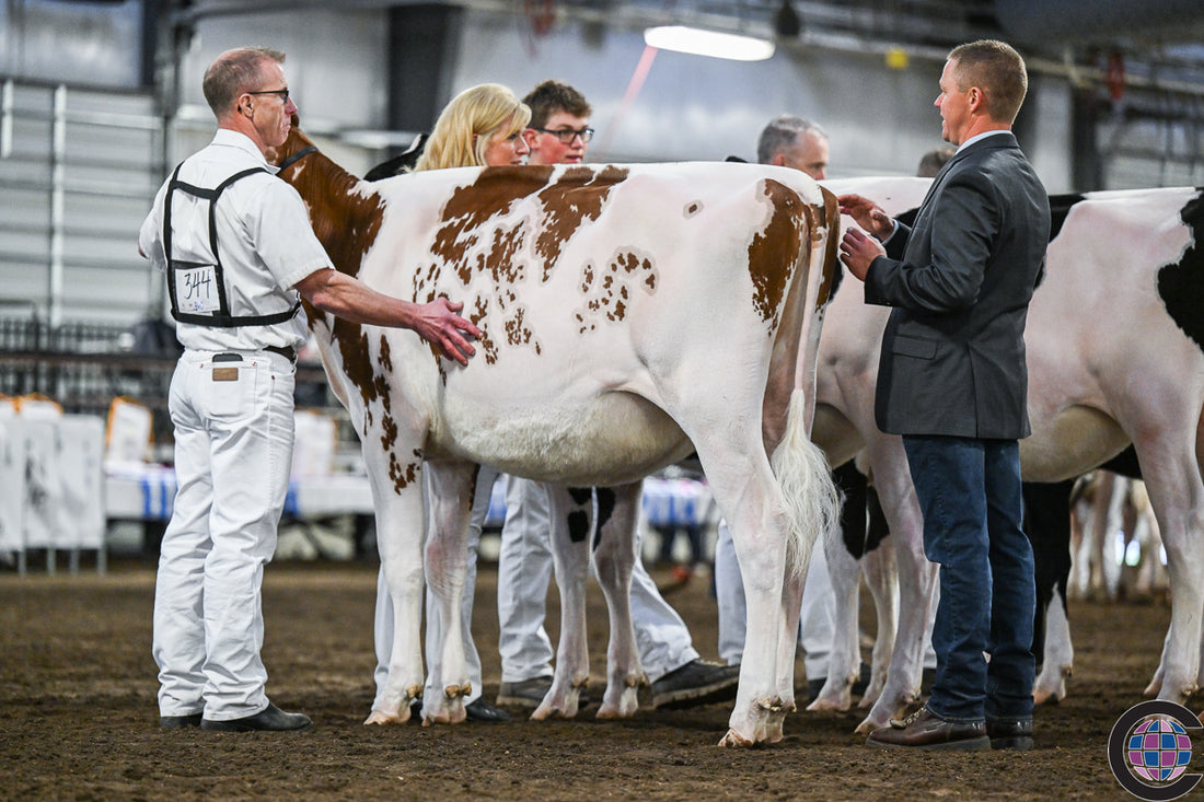 OCEAN-VIEW SWEETER IN RED TOPS SPRING SHOW