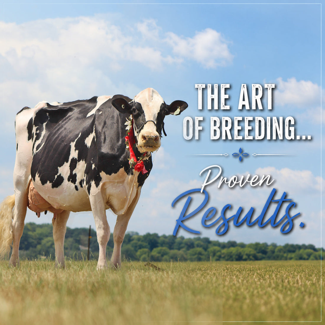 The Art of Breeding