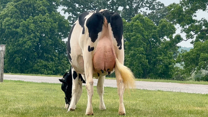 Lot 4 - OCEAN-VIEW BORN WITH STYLE *RC