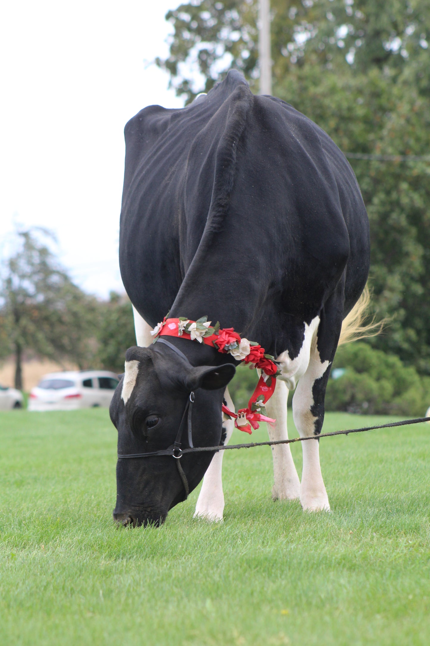 OCEAN-VIEW SHE SAID YES